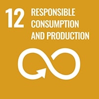 Responsible consumption and production