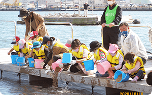 塩竈セブンの海の森干潟づくり